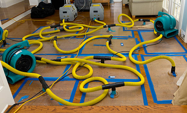 Professional Sewage Cleanup technician working in Sterling, CO